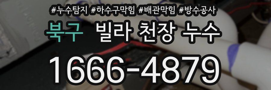 북구 빌라 천장 누수
