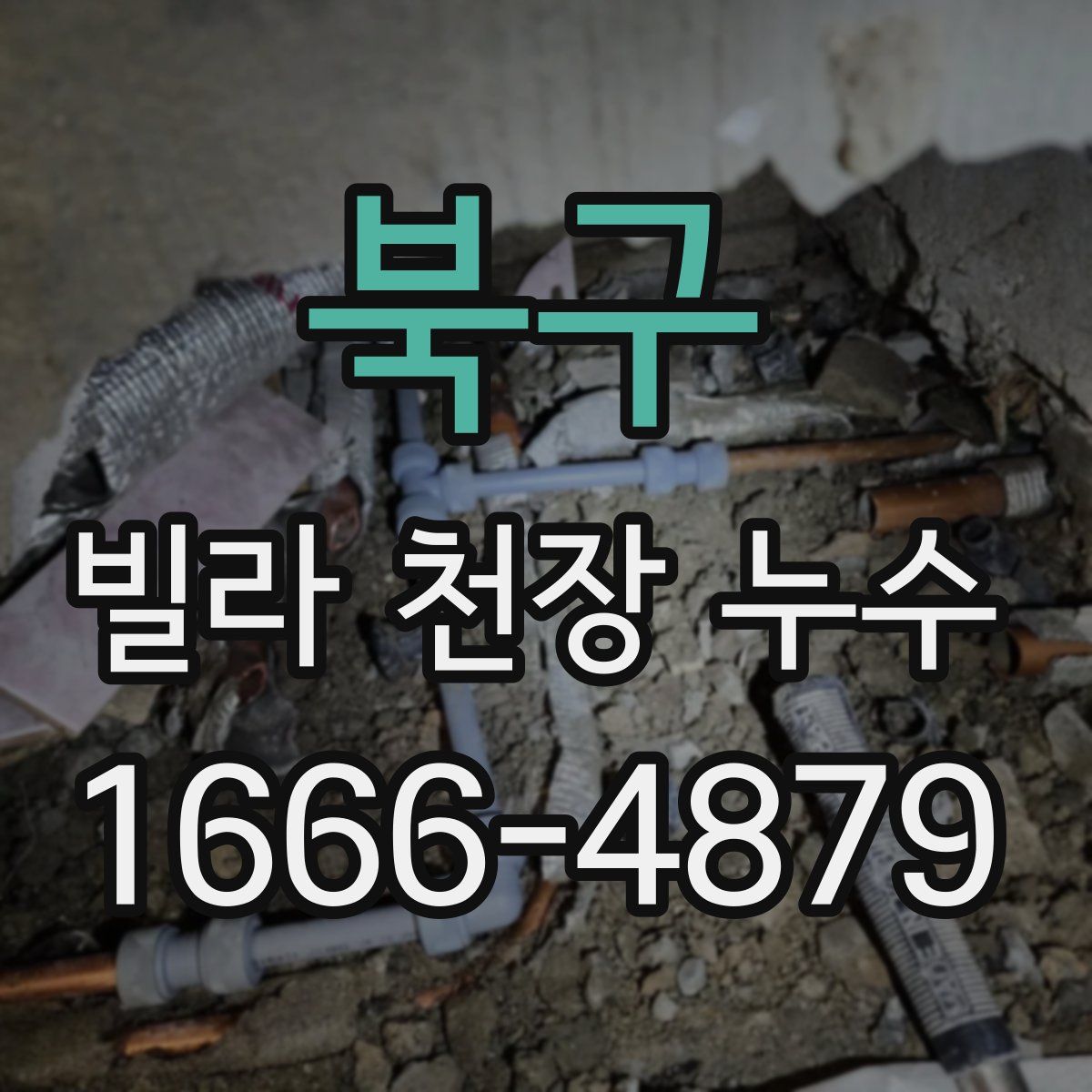 북구 빌라 천장 누수