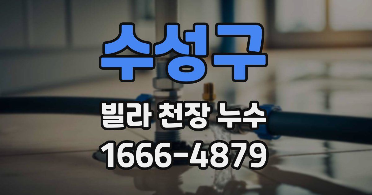 수성구 빌라 천장 누수