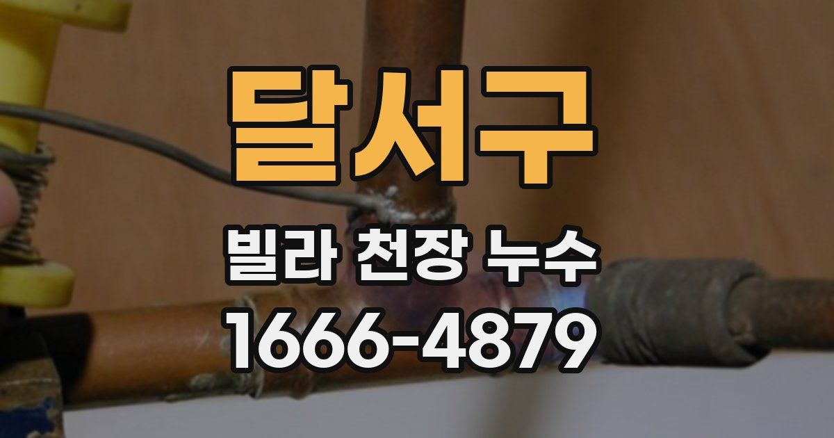 달서구 빌라 천장 누수