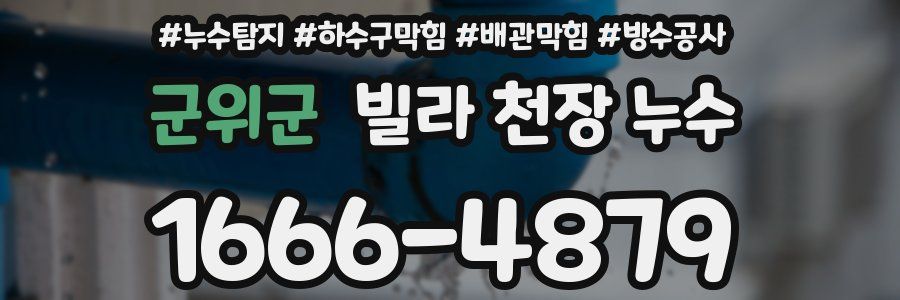 군위군 빌라 천장 누수