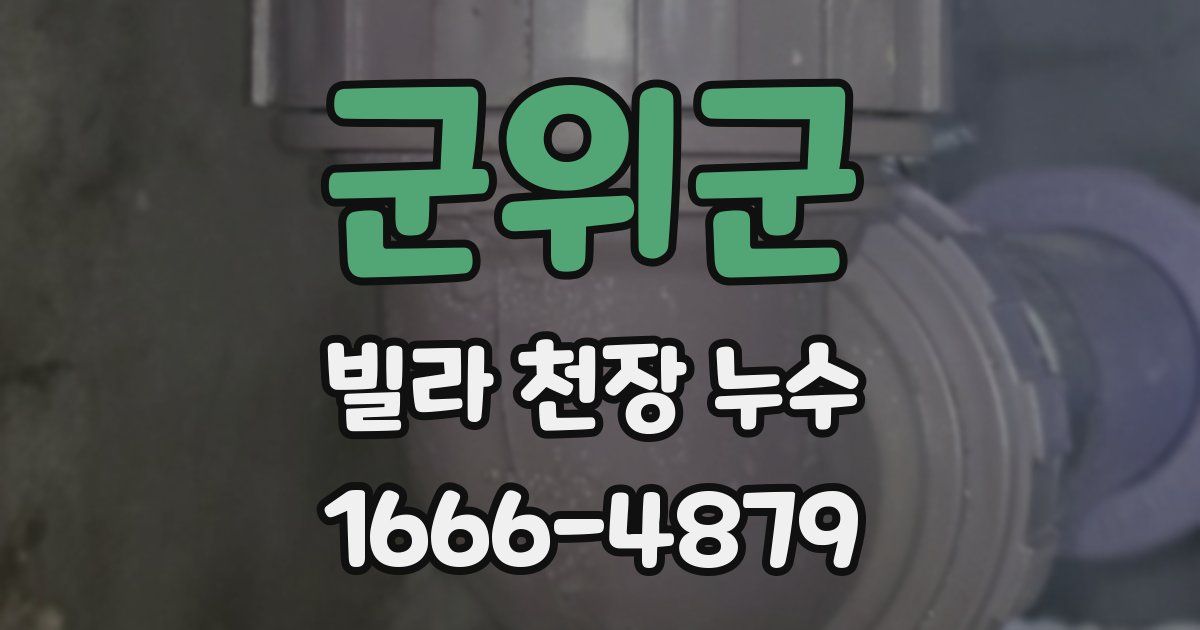 군위군 빌라 천장 누수