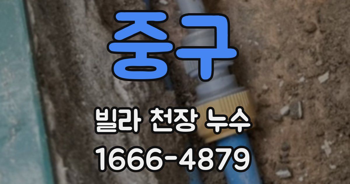 중구 빌라 천장 누수
