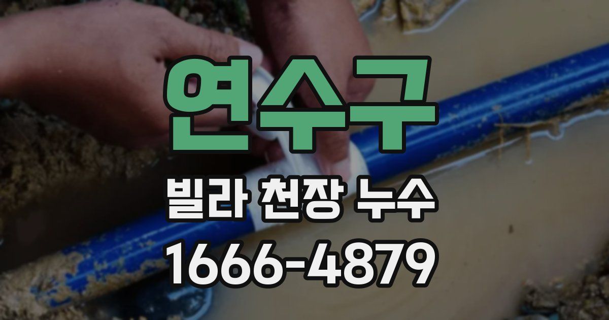 연수구 빌라 천장 누수