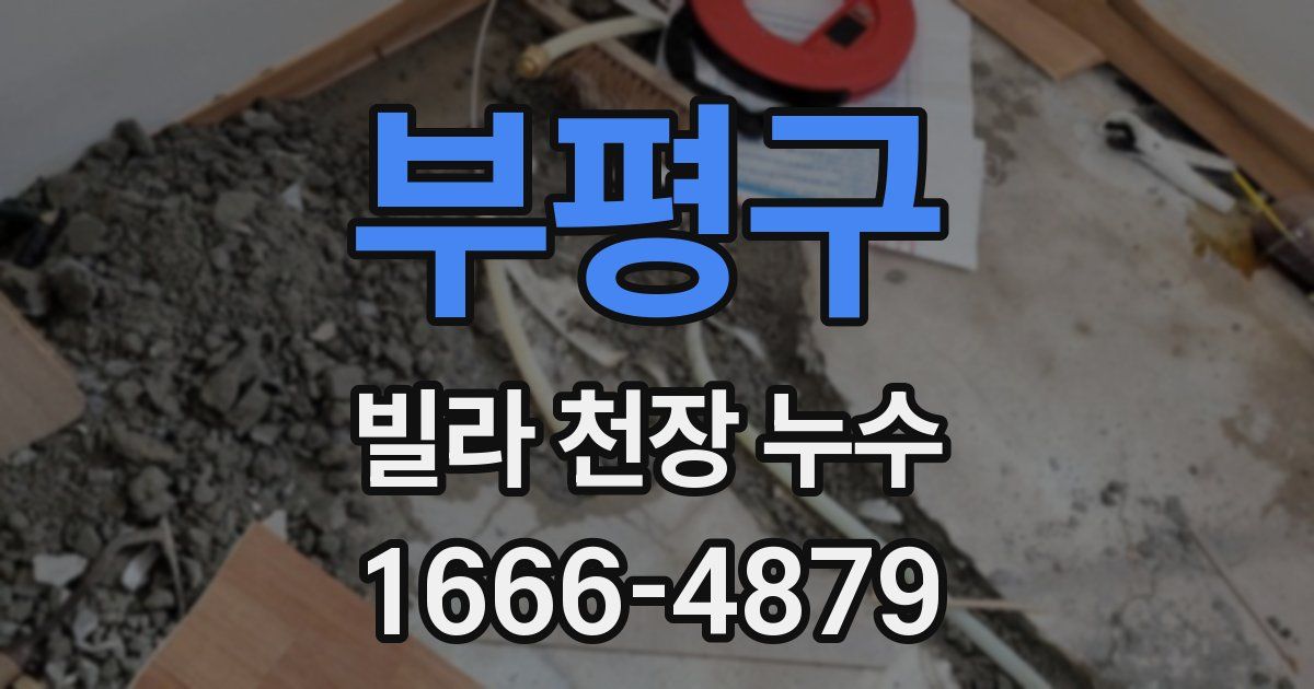 부평구 빌라 천장 누수