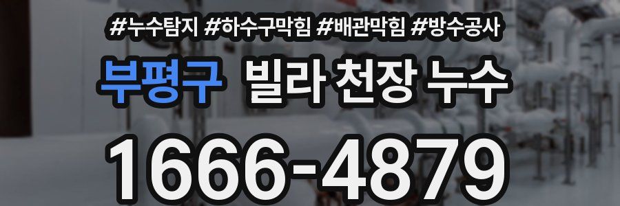 부평구 빌라 천장 누수