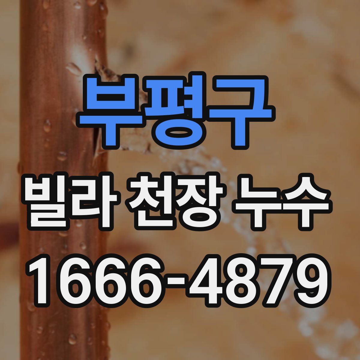 부평구 빌라 천장 누수