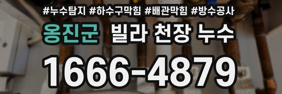 옹진군 빌라 천장 누수