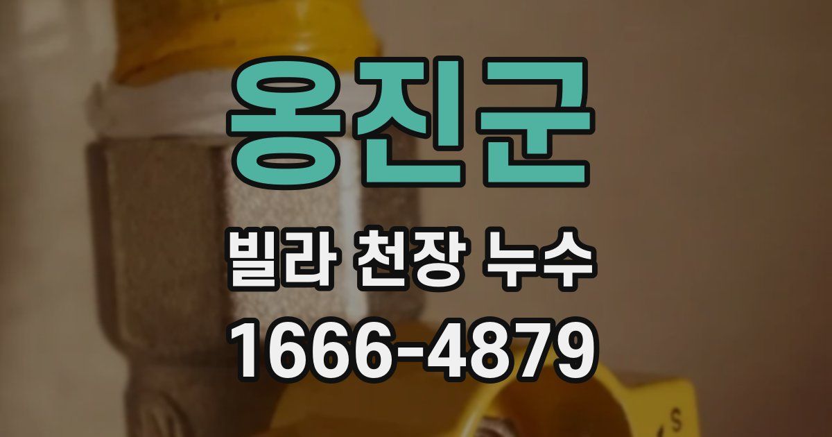옹진군 빌라 천장 누수