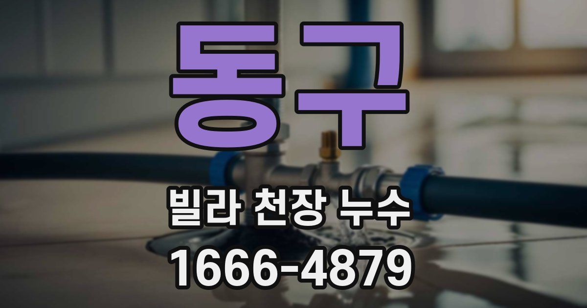 동구 빌라 천장 누수