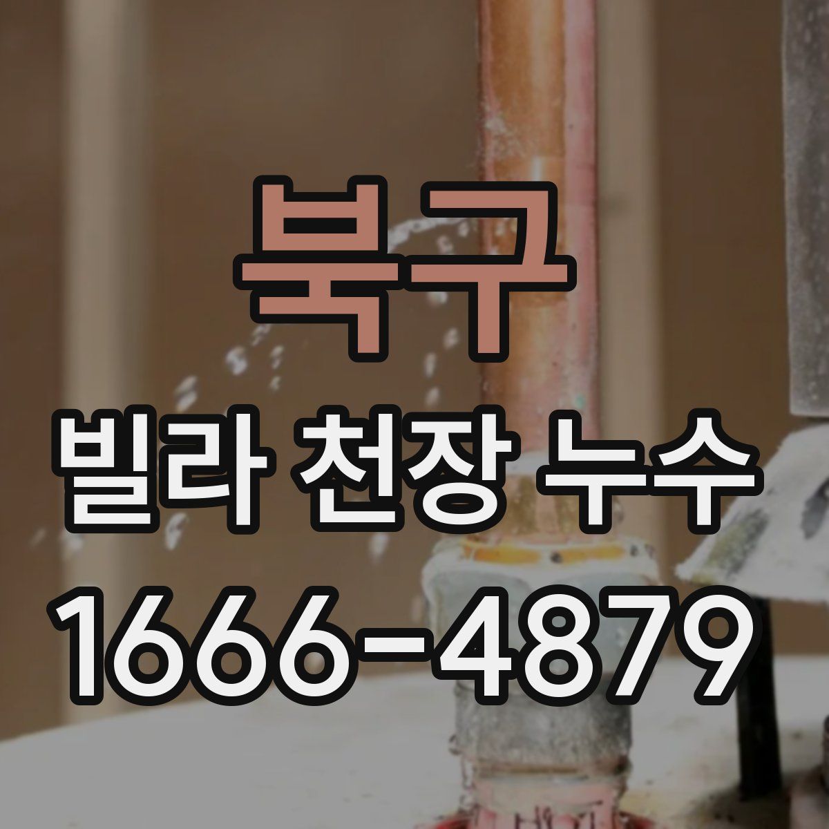 북구 빌라 천장 누수