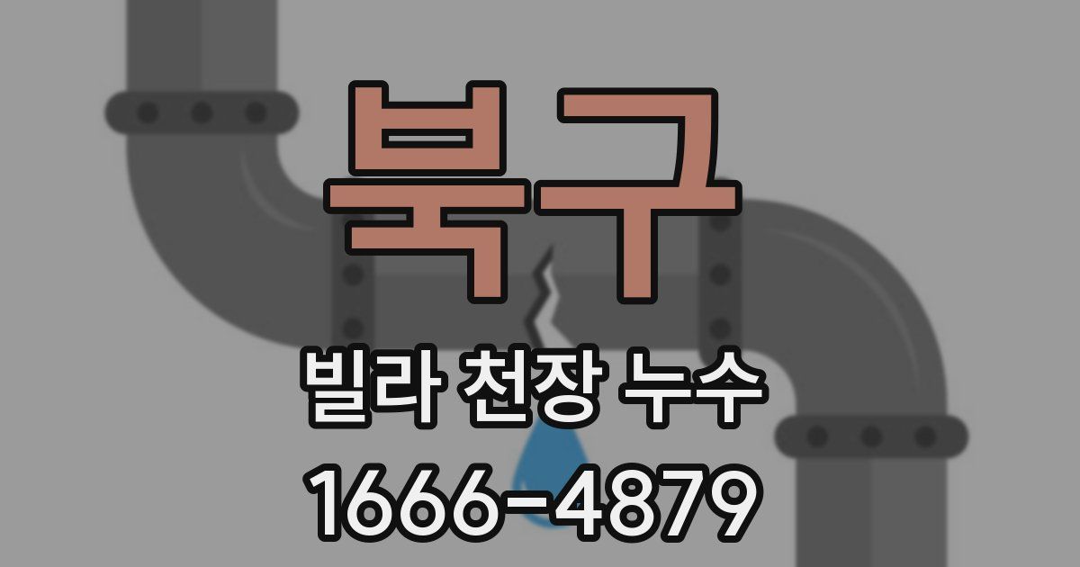 북구 빌라 천장 누수
