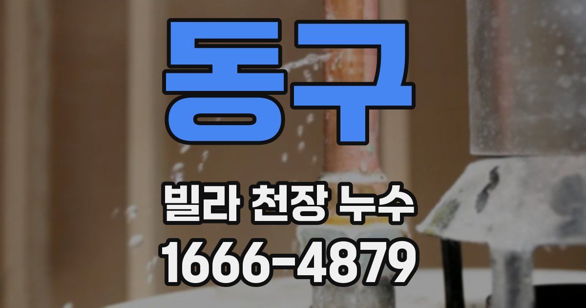 동구 빌라 천장 누수