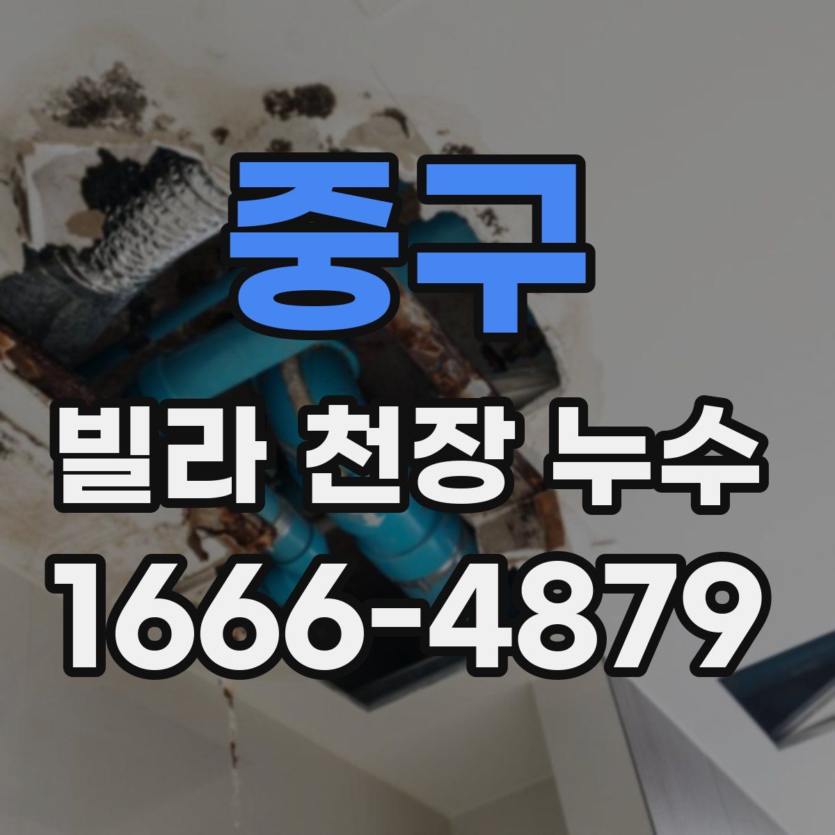 중구 빌라 천장 누수
