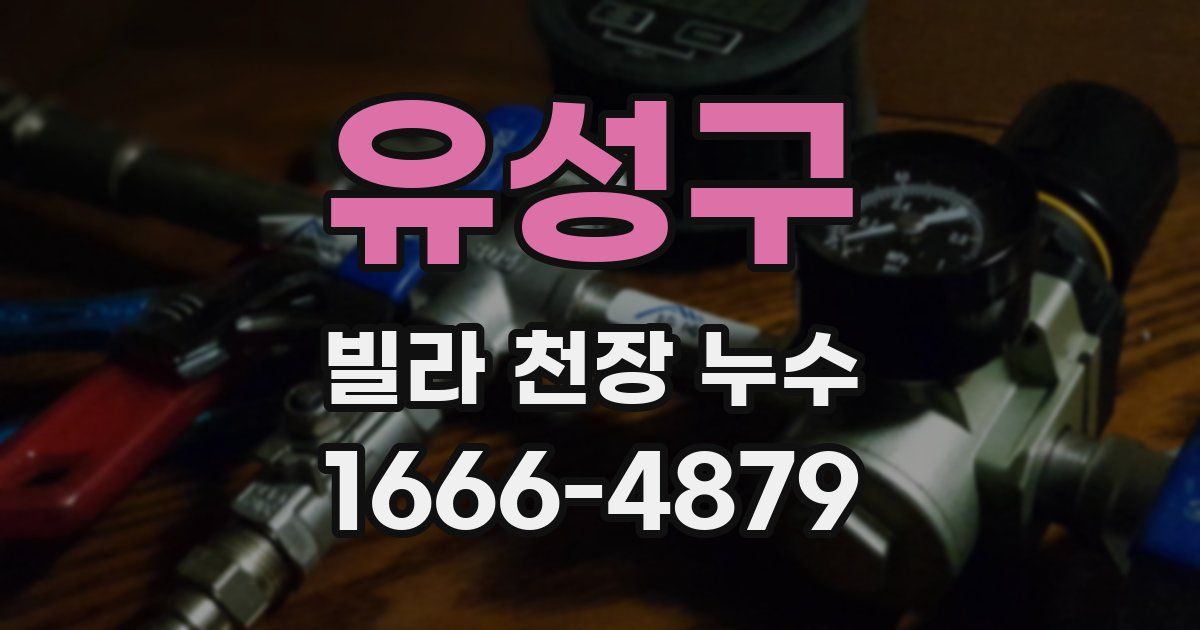 유성구 빌라 천장 누수