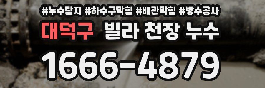 대덕구 빌라 천장 누수