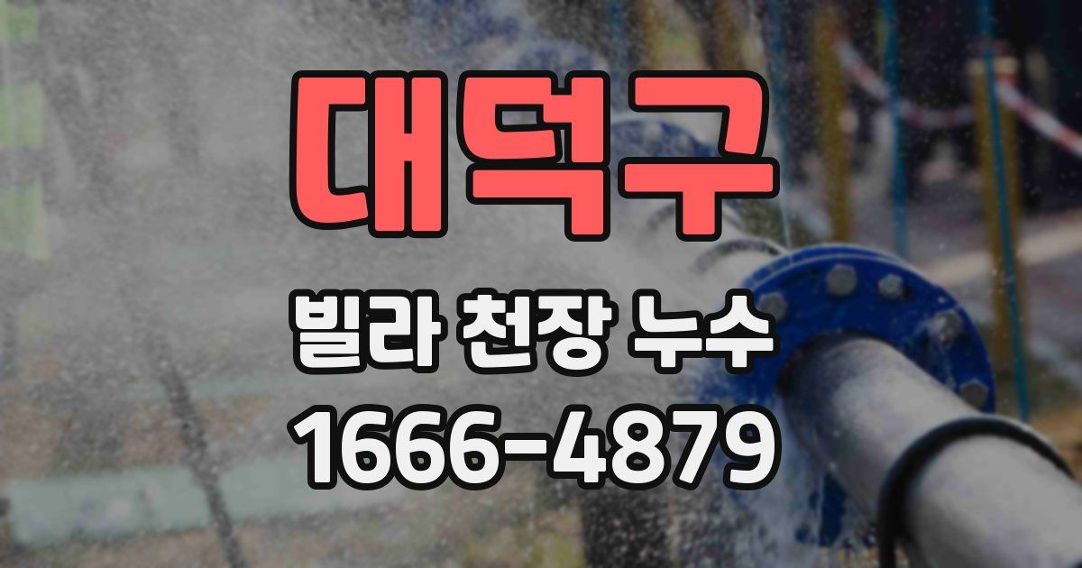 대덕구 빌라 천장 누수