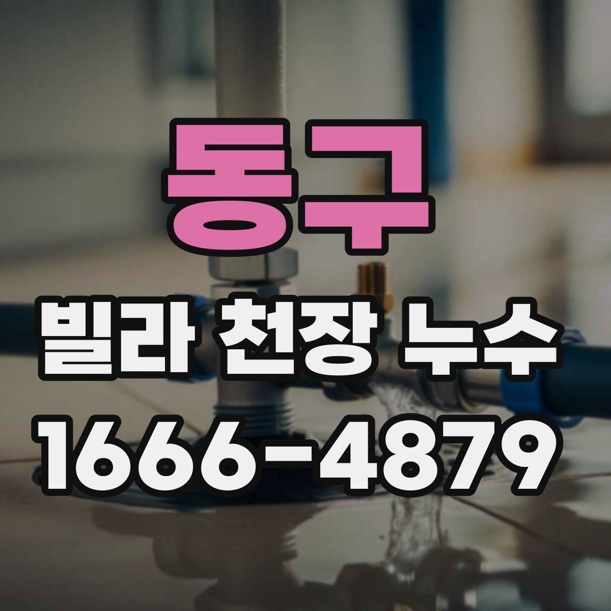 동구 빌라 천장 누수