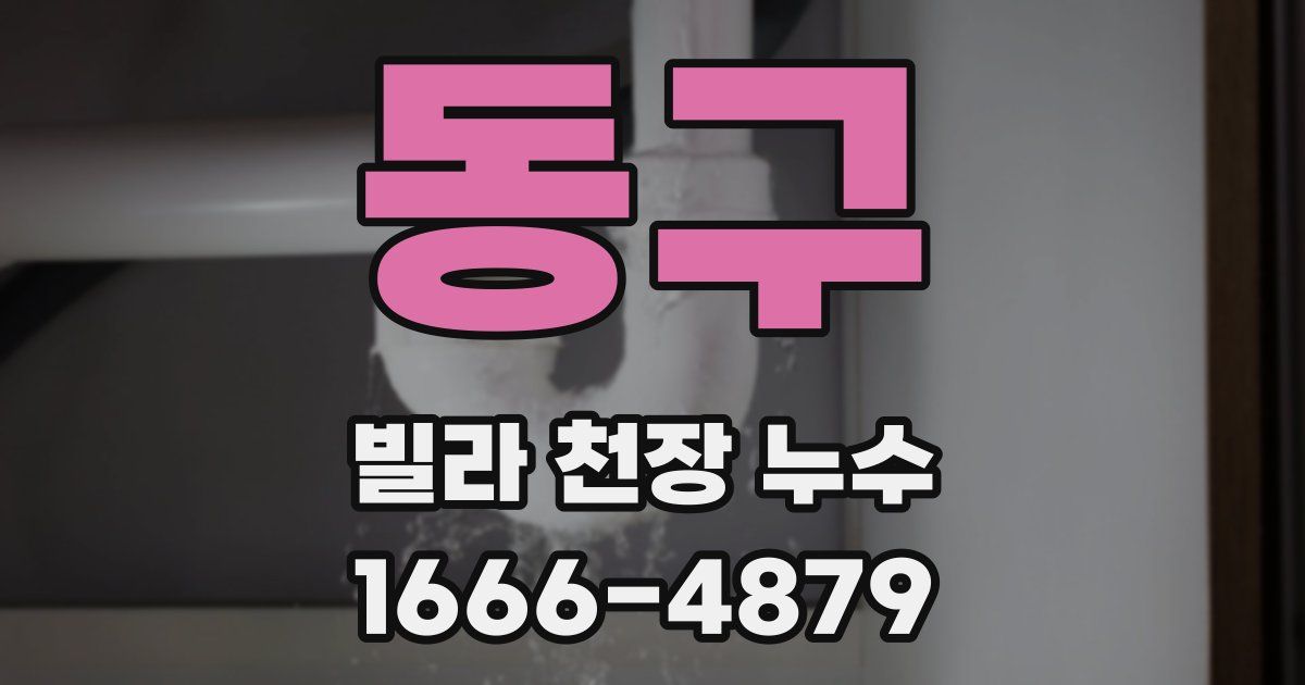 동구 빌라 천장 누수
