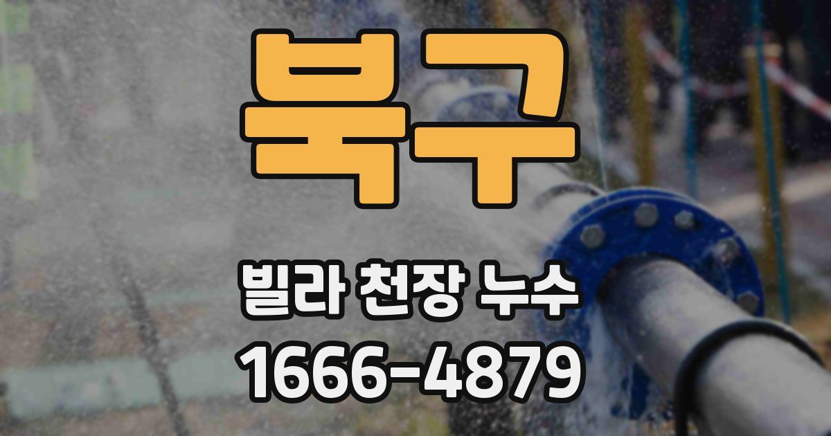 북구 빌라 천장 누수