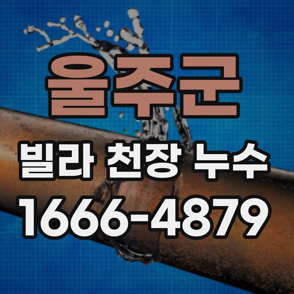 울주군 빌라 천장 누수