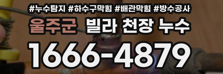 울주군 빌라 천장 누수