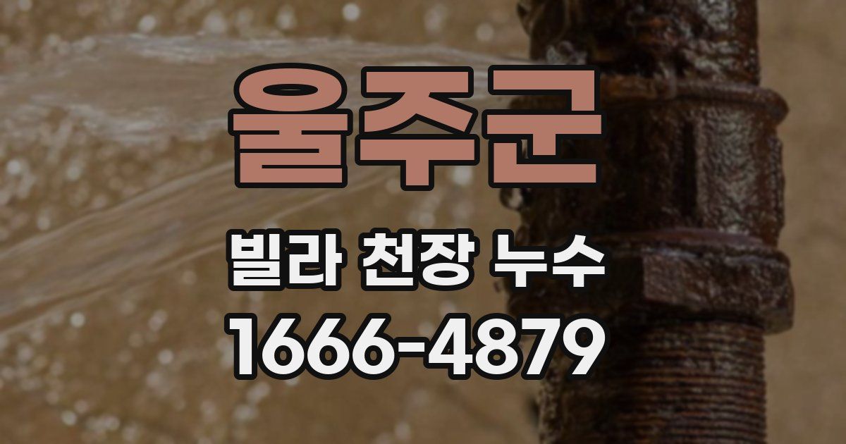 울주군 빌라 천장 누수