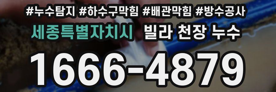 세종특별자치시 빌라 천장 누수