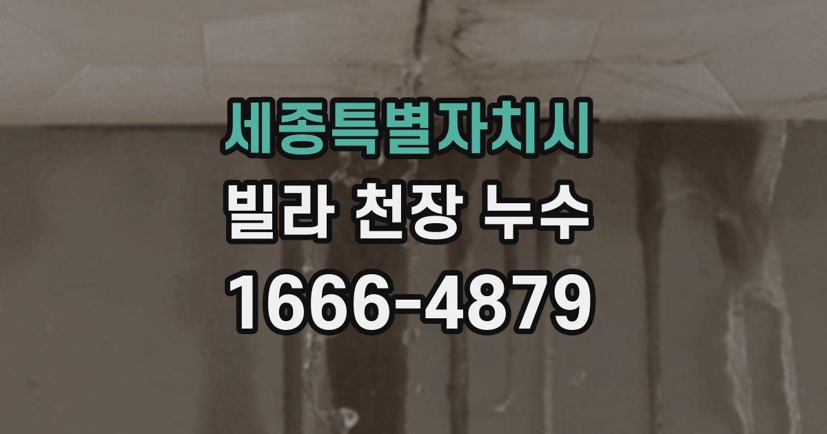 세종특별자치시 빌라 천장 누수