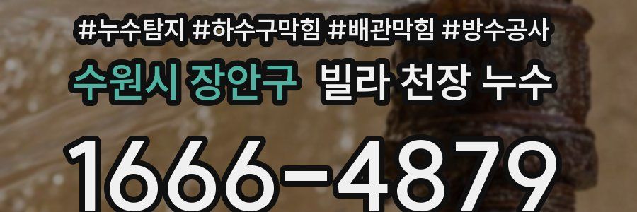 수원시 장안구 빌라 천장 누수