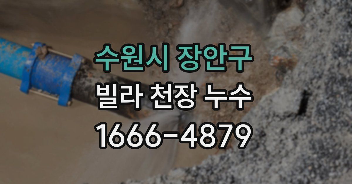 수원시 장안구 빌라 천장 누수