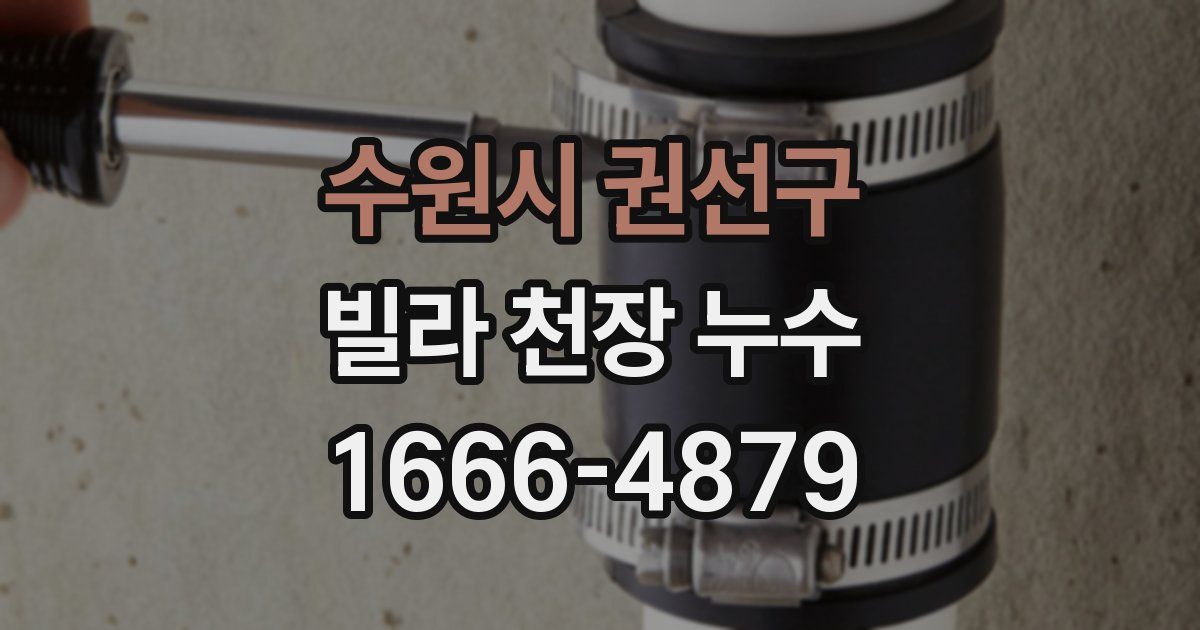 수원시 권선구 빌라 천장 누수