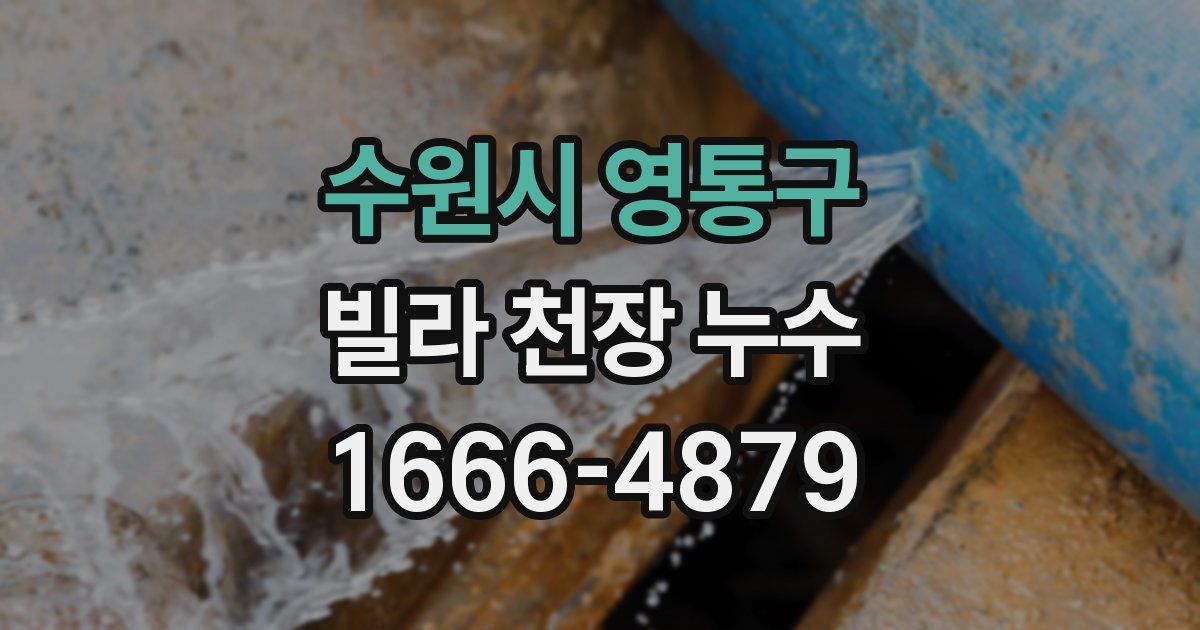 수원시 영통구 빌라 천장 누수