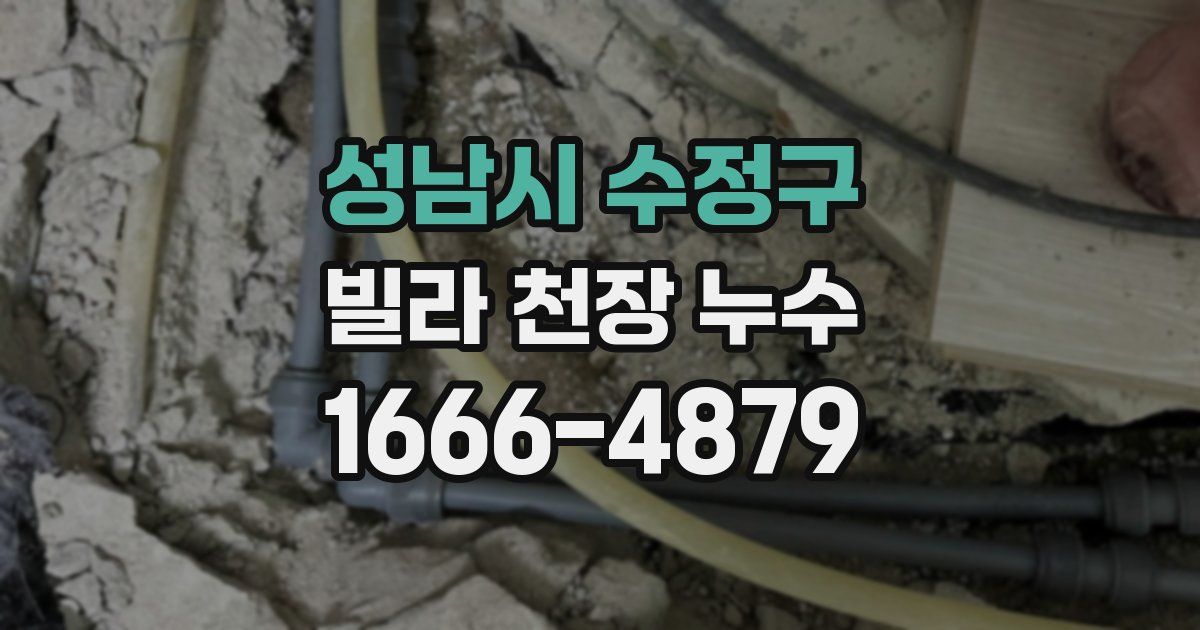 성남시 수정구 빌라 천장 누수