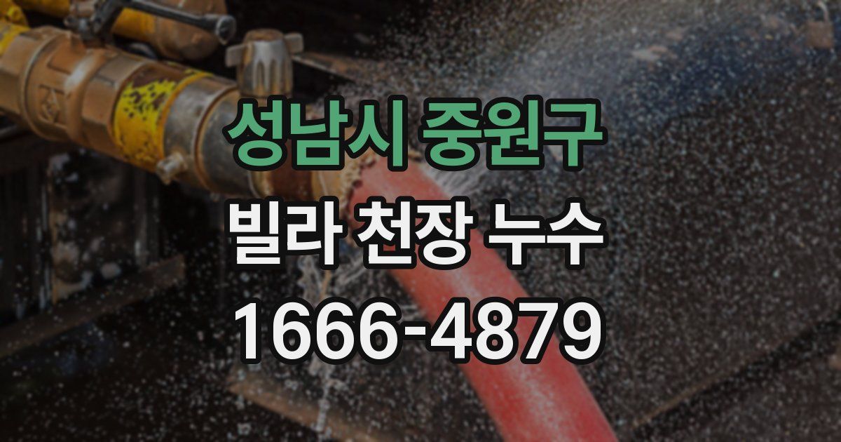 성남시 중원구 빌라 천장 누수