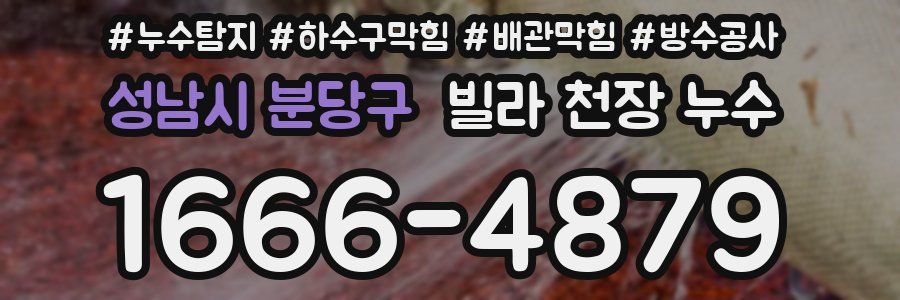 성남시 분당구 빌라 천장 누수