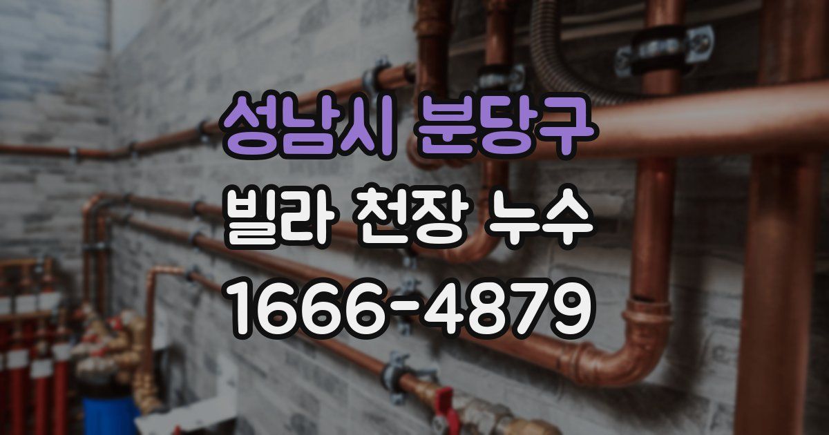성남시 분당구 빌라 천장 누수
