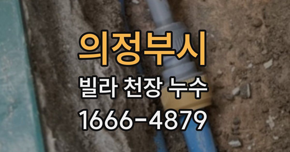 의정부시 빌라 천장 누수