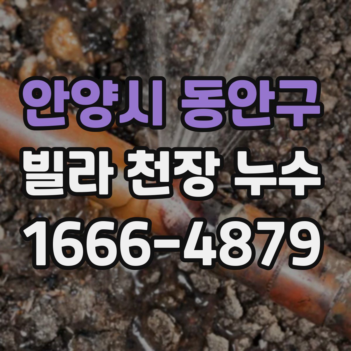 안양시 동안구 빌라 천장 누수