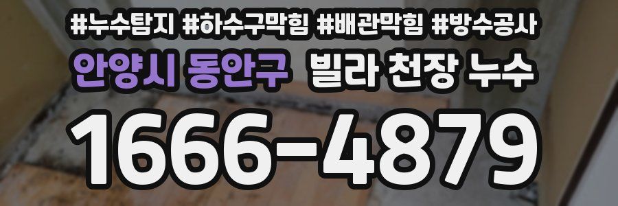 안양시 동안구 빌라 천장 누수