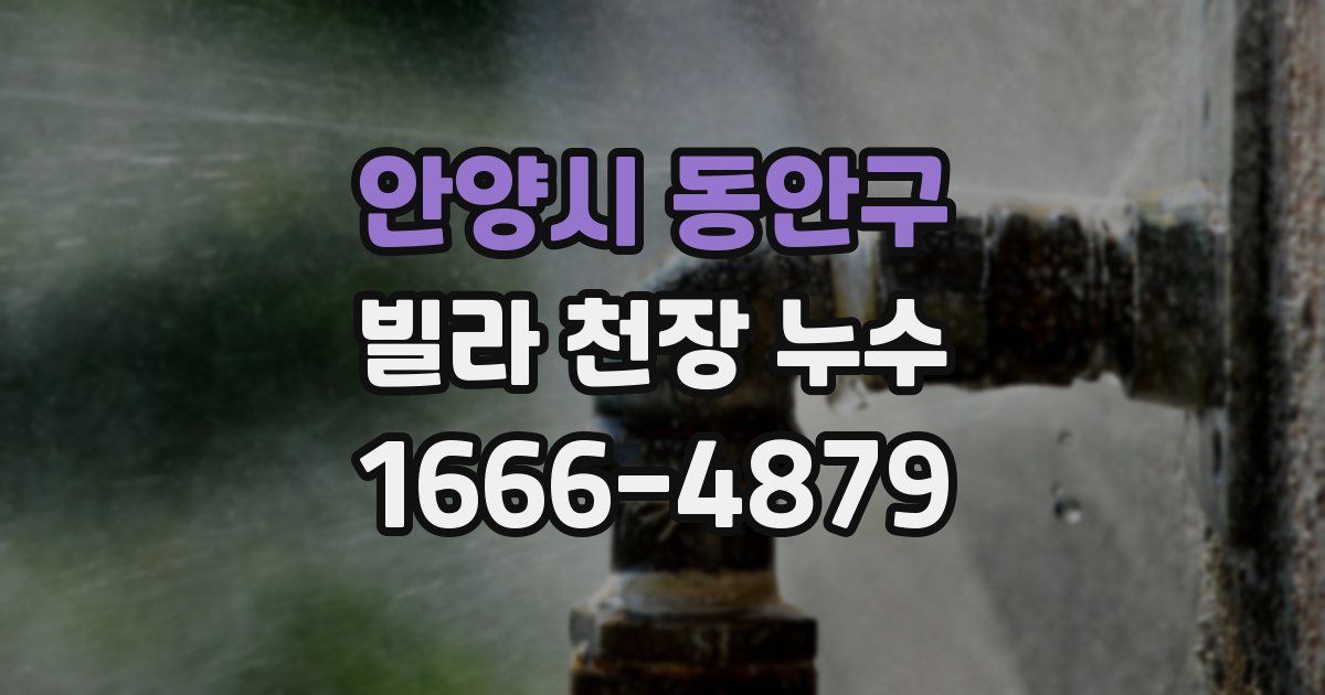 안양시 동안구 빌라 천장 누수