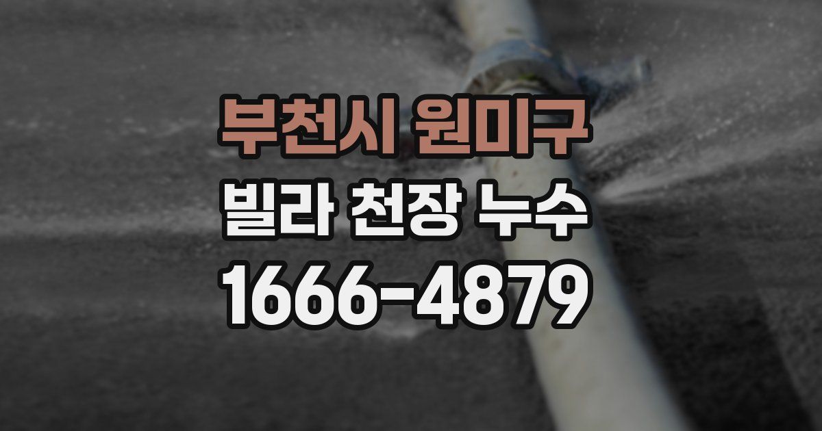 부천시 원미구 빌라 천장 누수