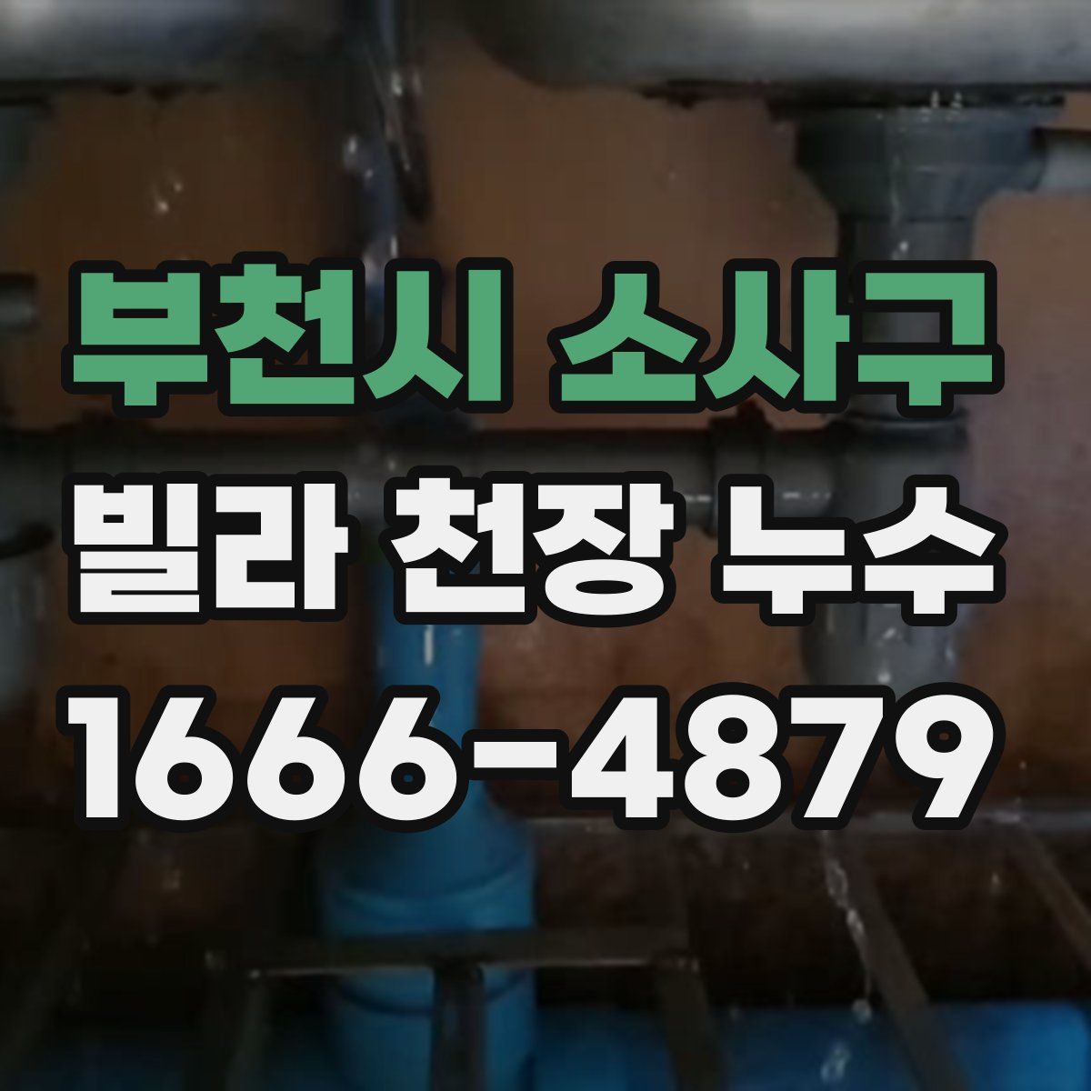 부천시 소사구 빌라 천장 누수