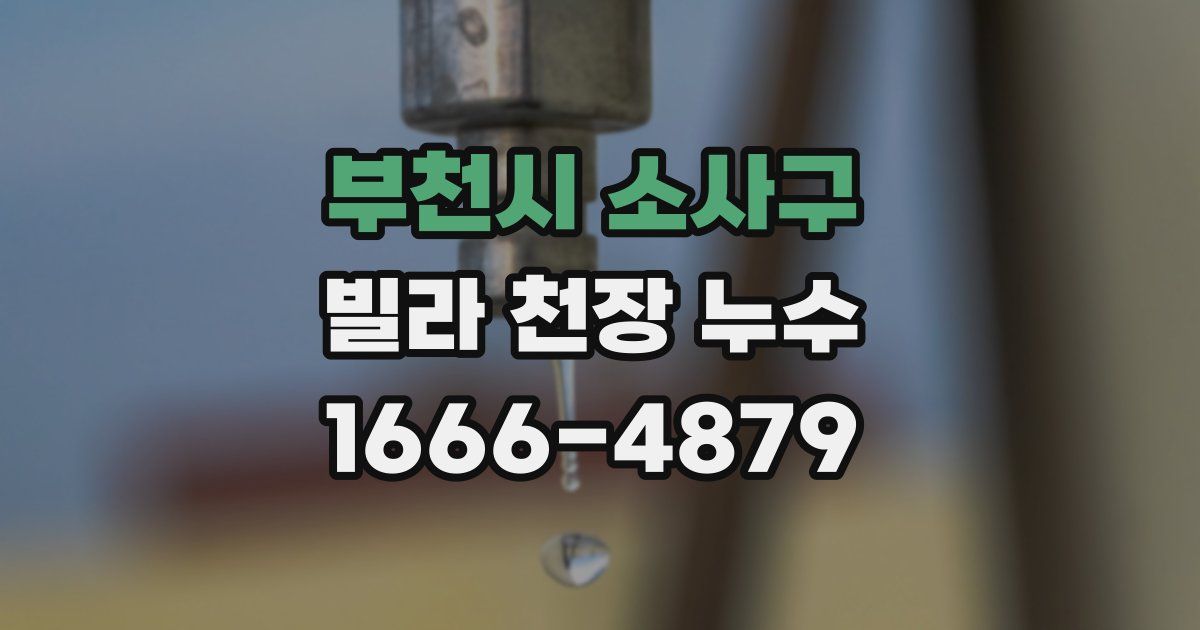 부천시 소사구 빌라 천장 누수