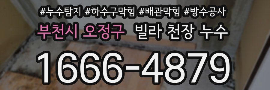 부천시 오정구 빌라 천장 누수