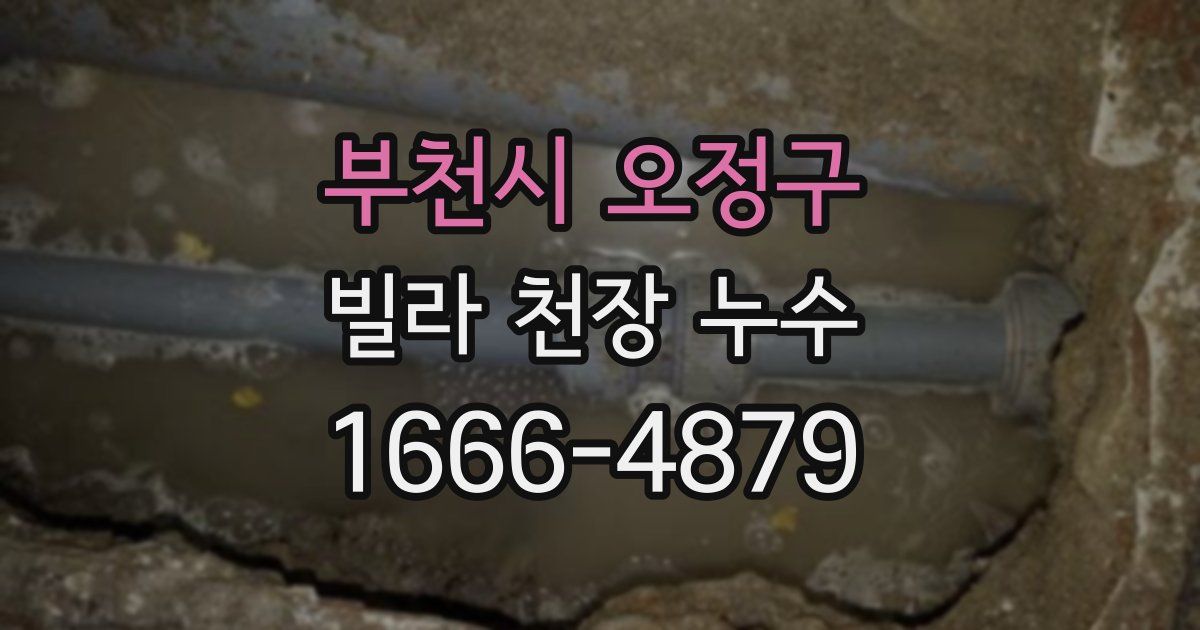 부천시 오정구 빌라 천장 누수