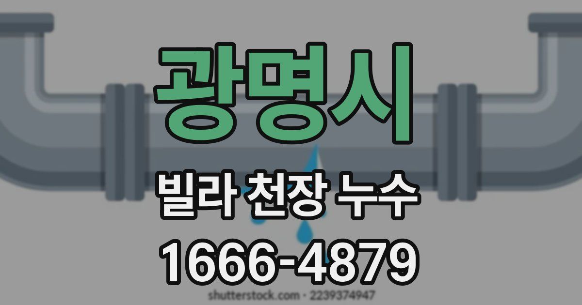 광명시 빌라 천장 누수