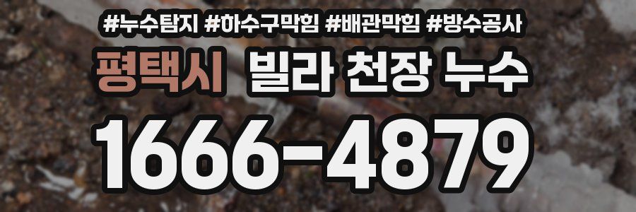 평택시 빌라 천장 누수