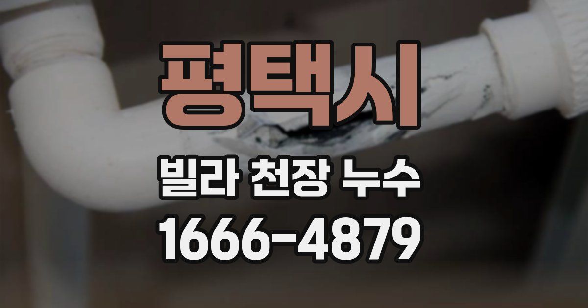 평택시 빌라 천장 누수