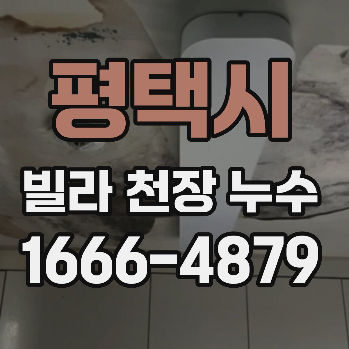 평택시 빌라 천장 누수